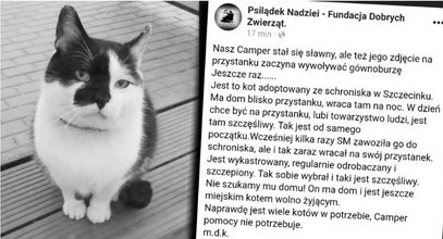 Był najpopularniejszym kotem w Szczecinku. Nie żyje Camper
