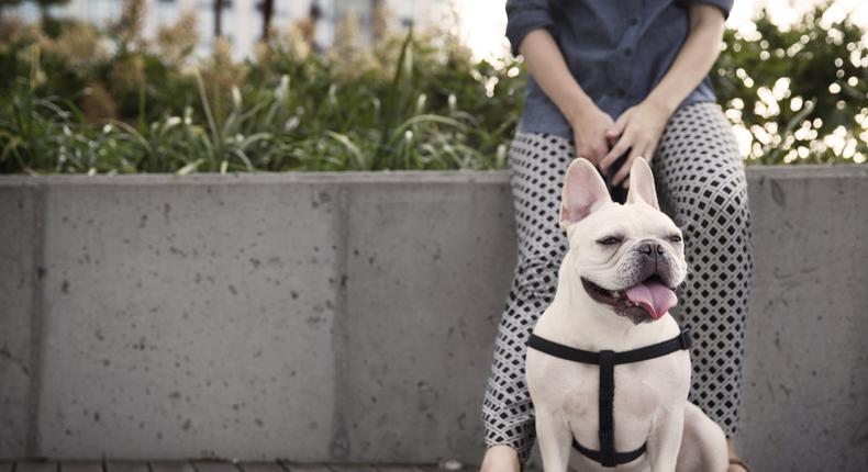 woman with dog