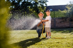 kiedy podlewać trawnik? lepiej to robić rano czy wieczorem?