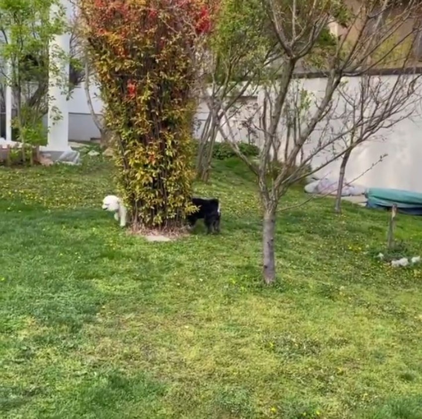 Imanje Radoša Bajića