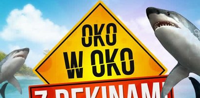 Oko w oko z rekinami