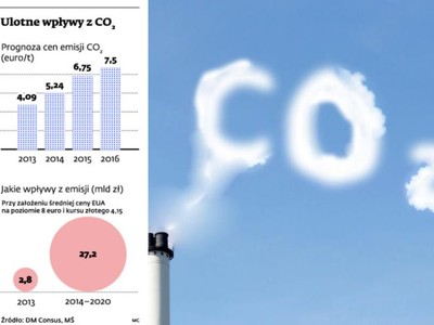 Handel emisjami CO2: państwo zarobi mniej, energetyka się cieszy