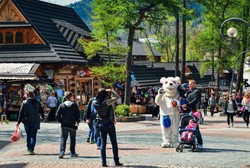 Miś z Zakopanego jest prorokiem i uzdrowicielem? Wszystko wyjawił [WIDEO]