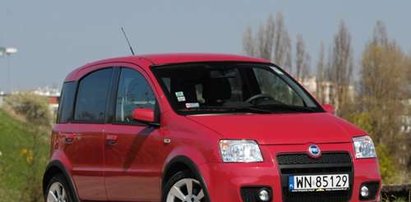 Fiat Panda 100 hp. Mały, lecz wysportowany miś!