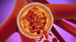 Arteria – czym jest i jaką rolę odgrywa w ludzkim organizmie