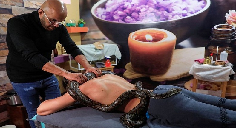 Snake massage in Cairo