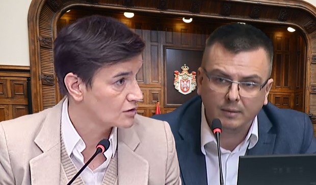 Parandilović i Ana Brnabić