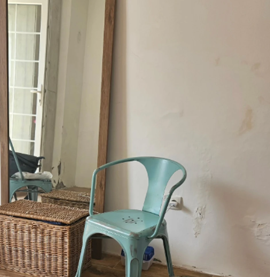 Mirjana Bobić Mojsilović kuća na selu