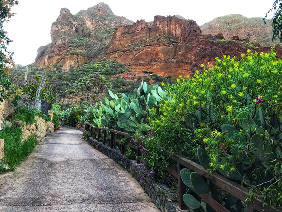 Wąwóz Barranco de Guayadeque