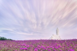 Ovo je JEDINA CRKVA NA SVETU KOJA NE BACA SENKU: Izgleda kao da lebdi iznad polja lavande, a kad zađe sunce unutar nje se DEŠAVA MAGIJA