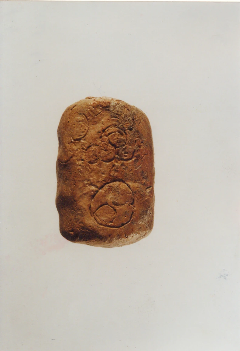  Najstariji urbanistički plan na svetu na zrnu pšenice!