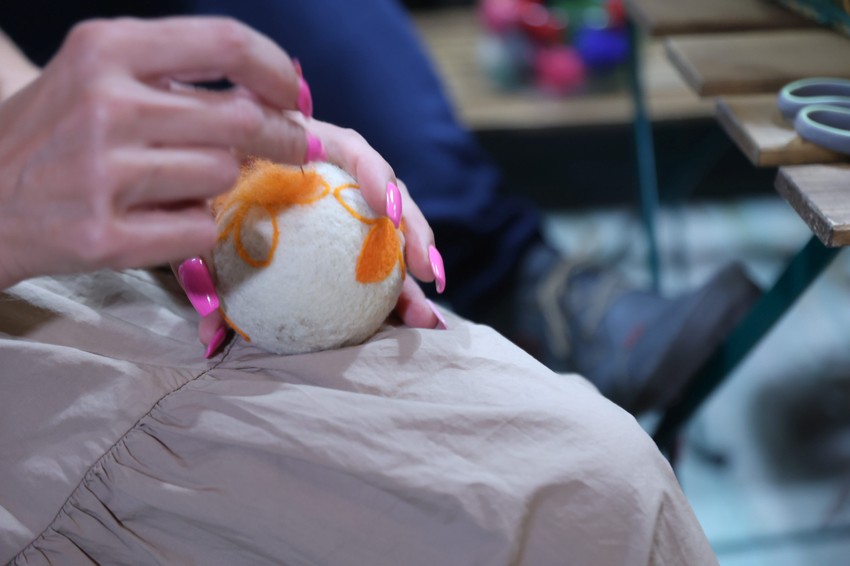 Kolonija Sremska Mitrovica