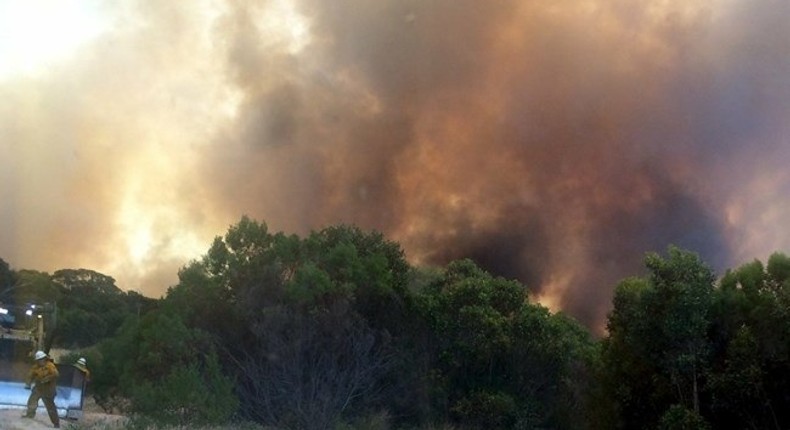 Australia bushfire kills two people, thousands of animals