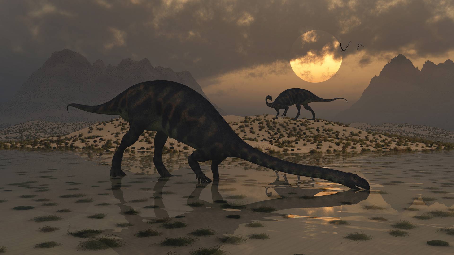 Eddig ismeretlen dinófajt fedeztek fel a kutatók