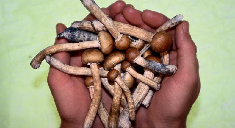 If taking magic mushrooms, it's important to consider the risks of a bad trip since there is no way to speed up the experience.Floris Leeuwenberg/Getty Images