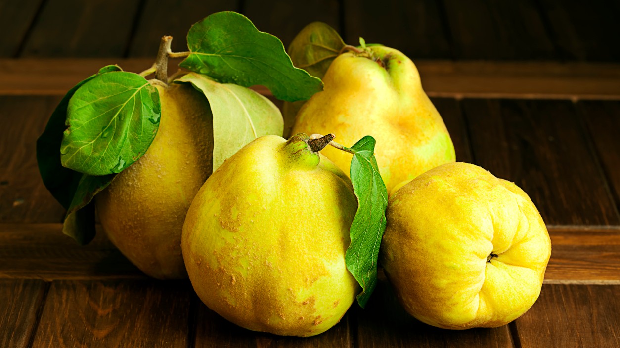 Dula obyčajná má 12 výhod, ktoré vás prekvapia. (Ilustračný obrázok)