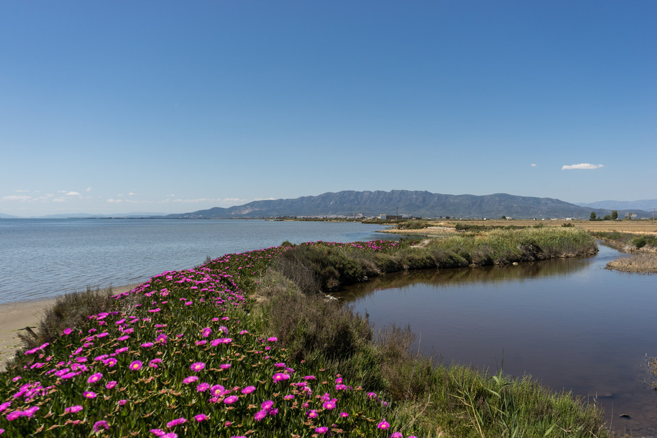 Delta Ebro (Park Natural Delta d’Elbre)