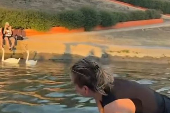 (VIDEO) Pas pao s Brankovog mosta u Savu, a onda su se pojavile DVE DEVOJKE! Čamcem u punoj brzini krenule ka bespomoćnoj životinji: Epilog RASPLAKAO SRBIJU