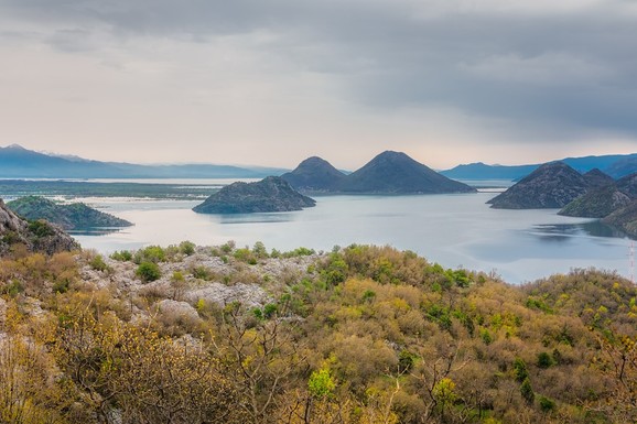 Fotografija sa Balkana koja je OBIŠLA SVET: Fenomen u Skadarskom jezeru vidi se iz svemira, džinovski zeleni vrtlog NIJE ONO ŠTO MISLITE