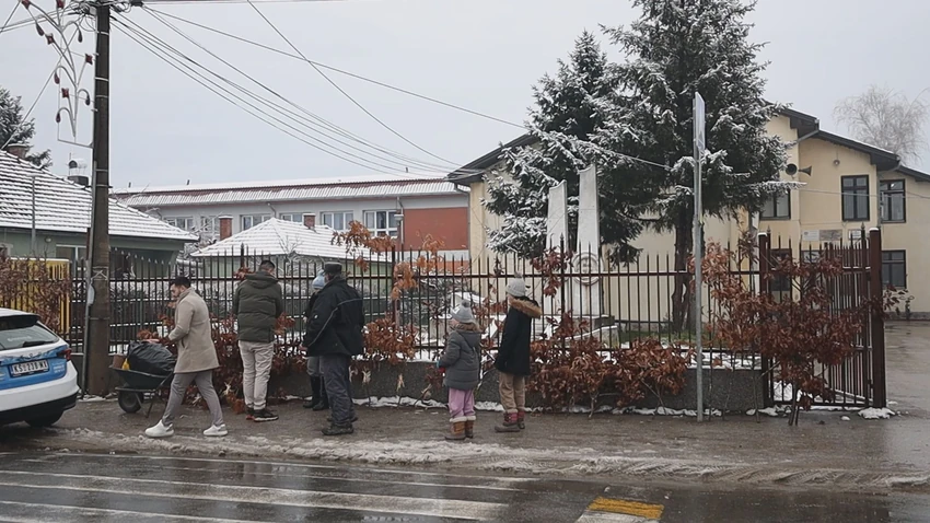 Kruševac  prodaja badnjaka