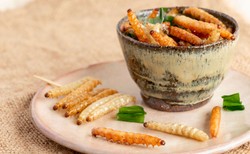 Jedzenie owadów sposobem na otyłość. Spowalnia przyrost masy ciała i...