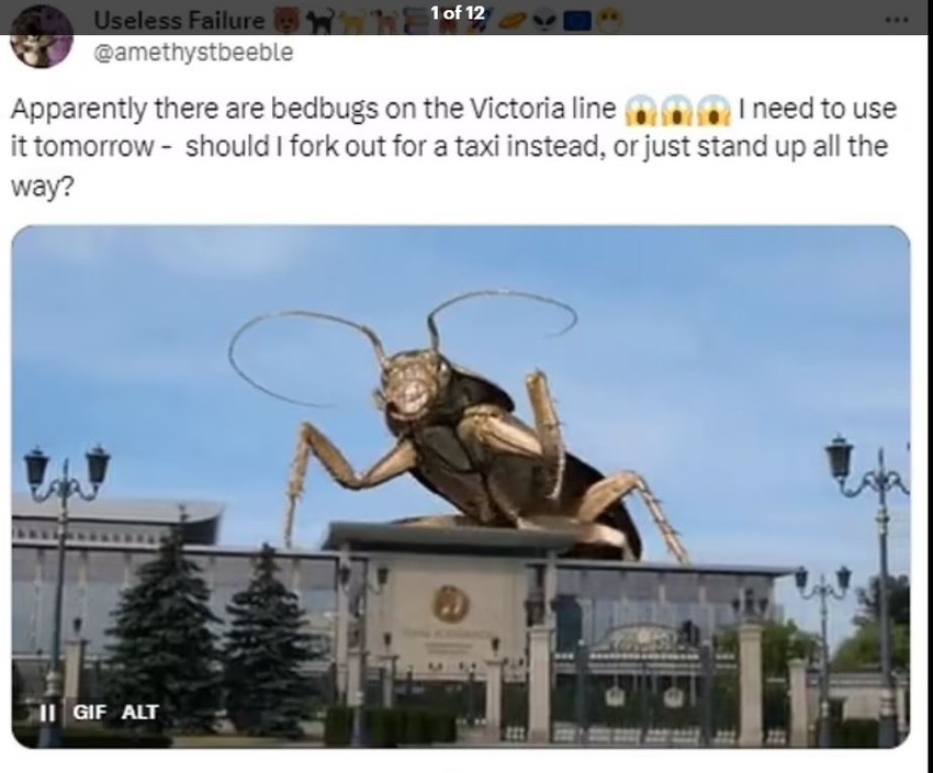 Šale na račun stenica