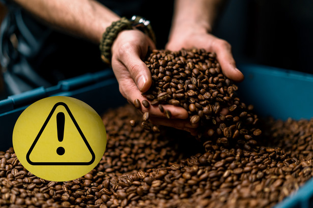 Czy kawa bezkofeinowa jest zdrowa? Amerykański OSHA ma wątpliwości