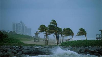 A tropical cyclone