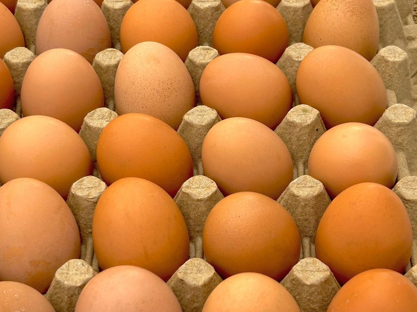 Jaja su nutritivno veoma vredna