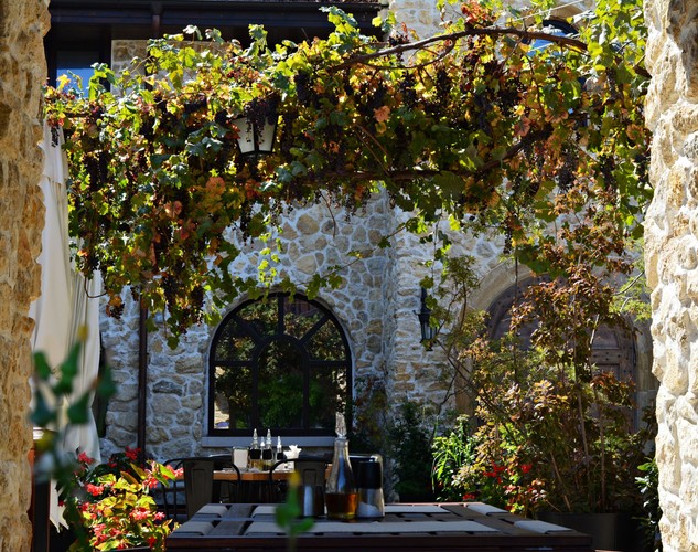 Kraina mlekiem płynąca