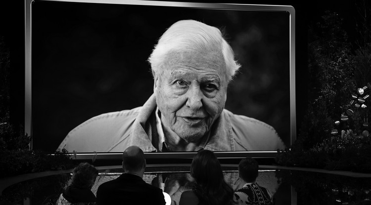 Sir David Attenborough