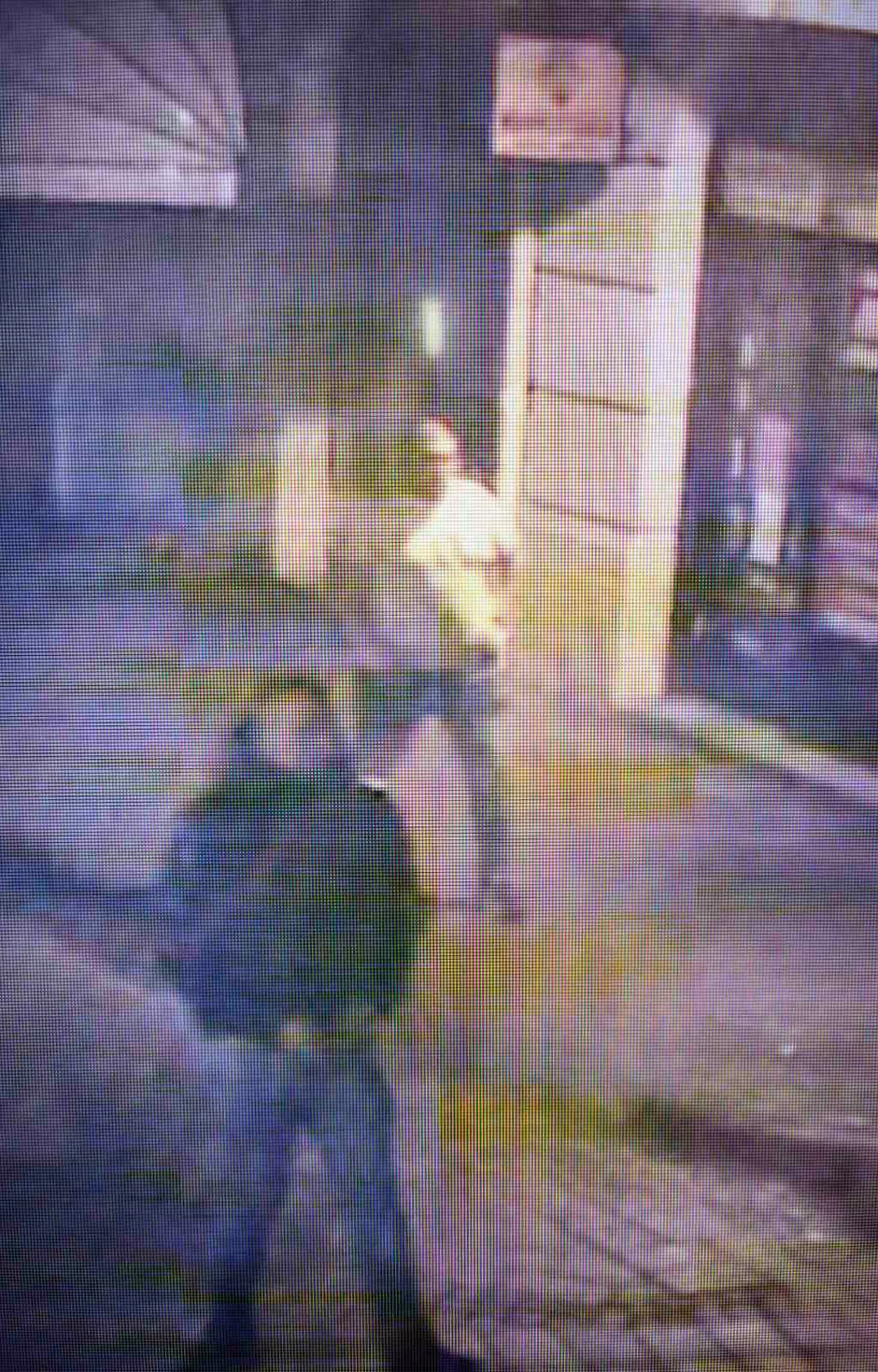 Osumnjičeni za napad na mladiće u Novom Sadu