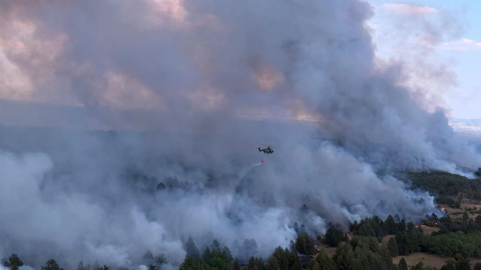 BBC | Foto: MUP Srbije