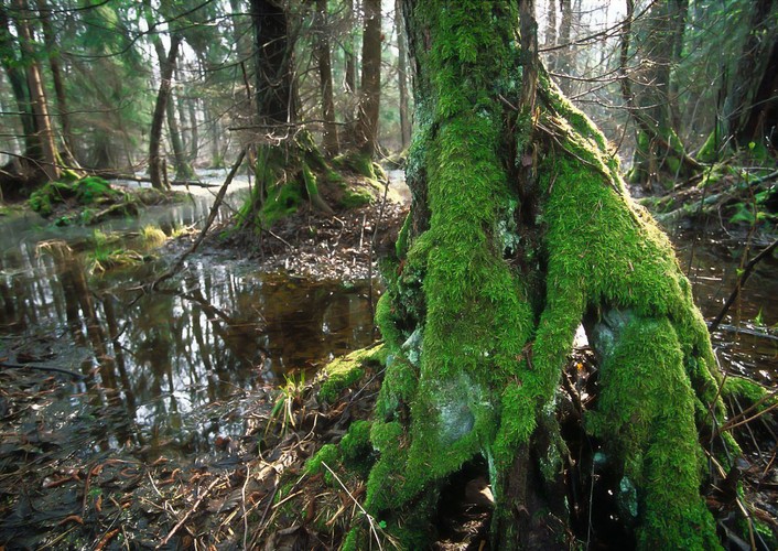 Najpiękniejsze krajobrazy Polski