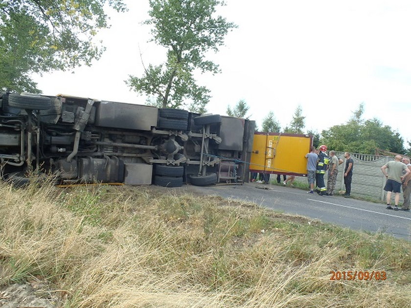 Strażacy ganiali świnie po wsi