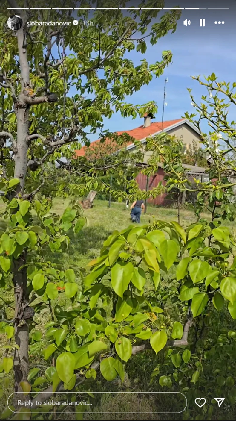 Sloba i Jelena Radanović u Slankamenu