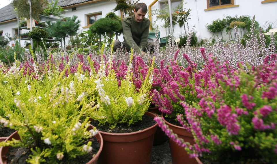 NAWOJOWA WYSTAWA ROLNICZA AGROPROMOCJA 2010