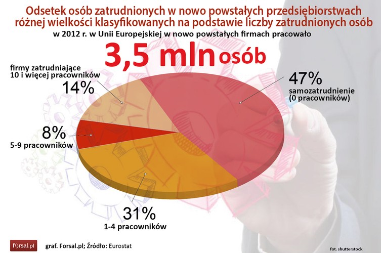 W całej Unii Europejskiej najmniejsze, jednoosobowe przedsiębiorstwa, miały największy udział zatrudnienia wśród  nowo utworzonych firm w 2012 r. Zatrudnienie w jednoosobowych firmach stanowiło 46,9 proc. łącznego zatrudnienia w nowo utworzonych przedsiębiorstwach. Zakłady z 1 do 4 pracownikami to 31,1 proc. zatrudnienia. Najniższy udział w rynku (8,3 proc.) miały firmy, w których pracowało od 5 do 9 osób. W przedsiębiorstwach zatrudniających 10 lub więcej pracowników pracowało 14,3 proc. osób.