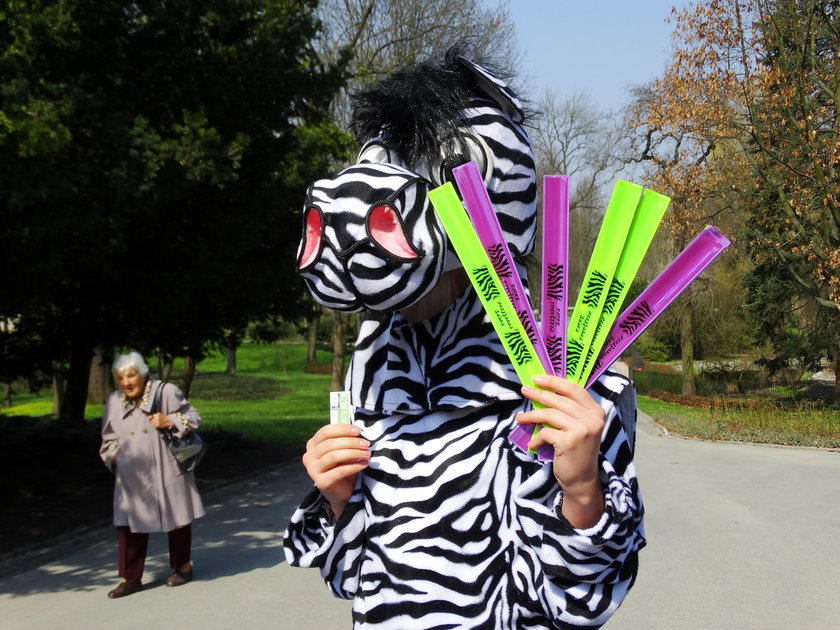 Akcja Przyjazna Zebra