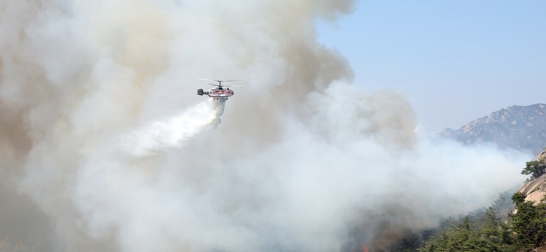 Pożar na górze w centrum Seulu. Strażacy walczą z ogniem już ponad 20 godzin