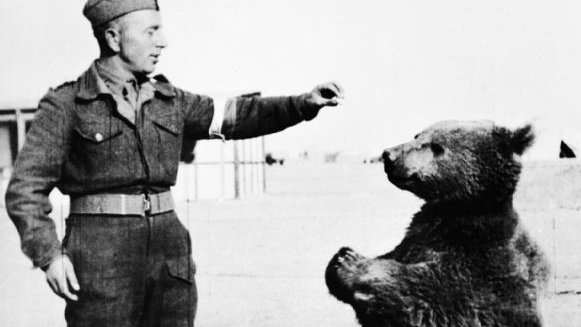 Niedźwiedź Wojtek w towarzystwie polskiego żołnierza