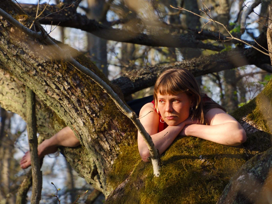 Bilo jednom u jednoj šumi