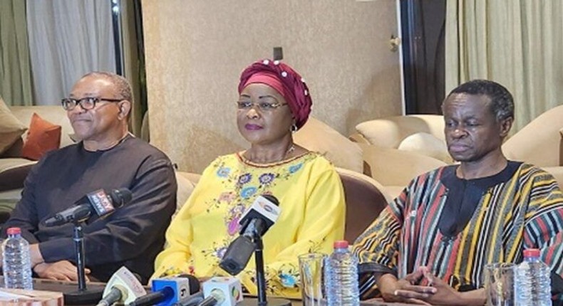 Professor P. L. O. Lumumba, Dr Arikana Chihombori-Quao, and Peter Obi.