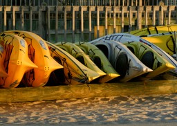 Forma opodatkowania: Letnia wypożyczalnia nie ma prawa do wyboru ryczałtu ewidencjonowanego