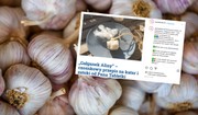 Gałganek Aliny - domowy sposób na katar i zatkane zatoki