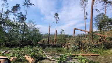 Trąba powietrzna w Borach Tucholskich. Zdjęcia pokazują skalę zniszczenia
