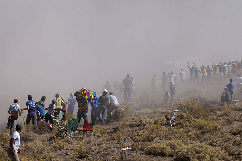 Rajd Dakar 2010: zwycięzcy, tabele, najlepsze ujęcia wideo