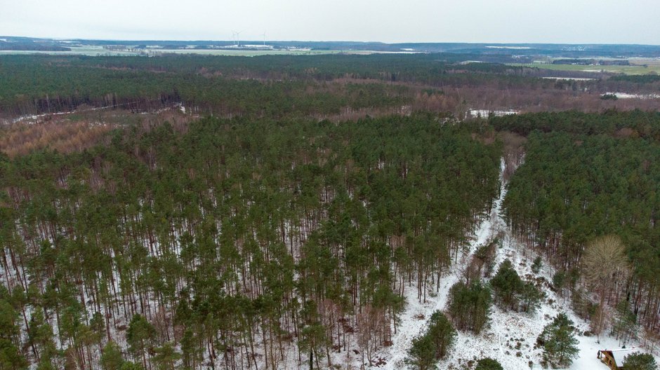 Kopalino, gmina Choczewo