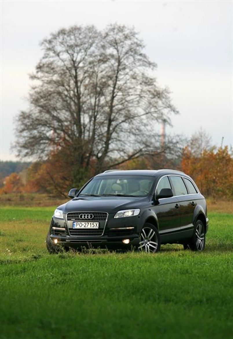 Majestatyczne Q7
