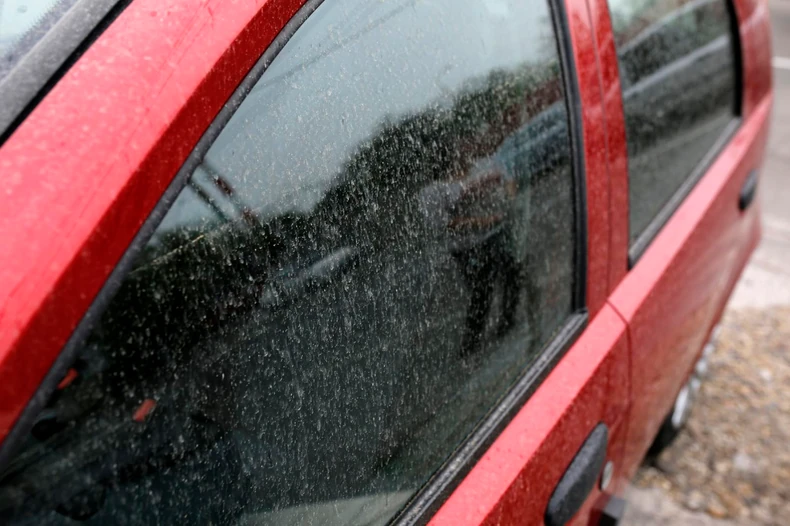 Prljava Kisa iz Sahare